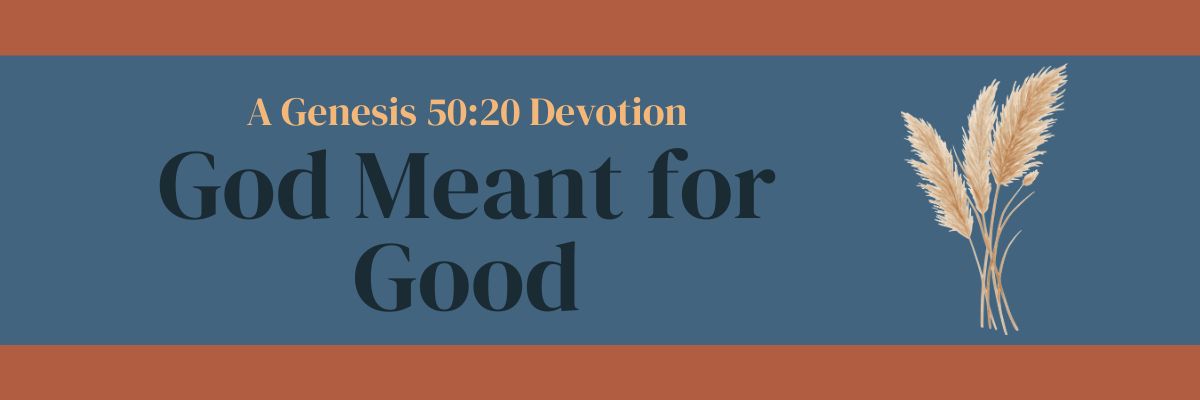God Meant For Good: Genesis 50:20